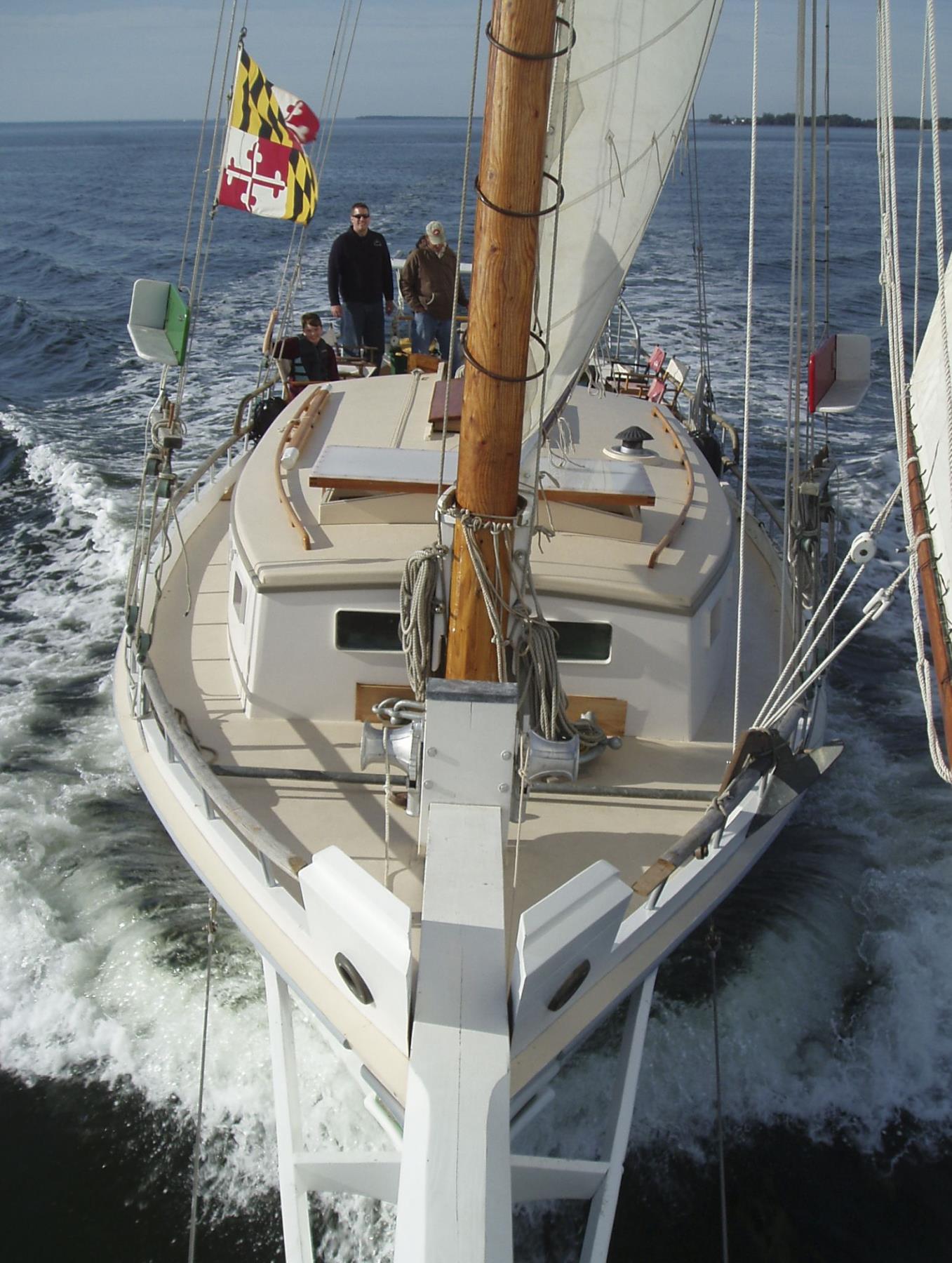CBMM catalog image